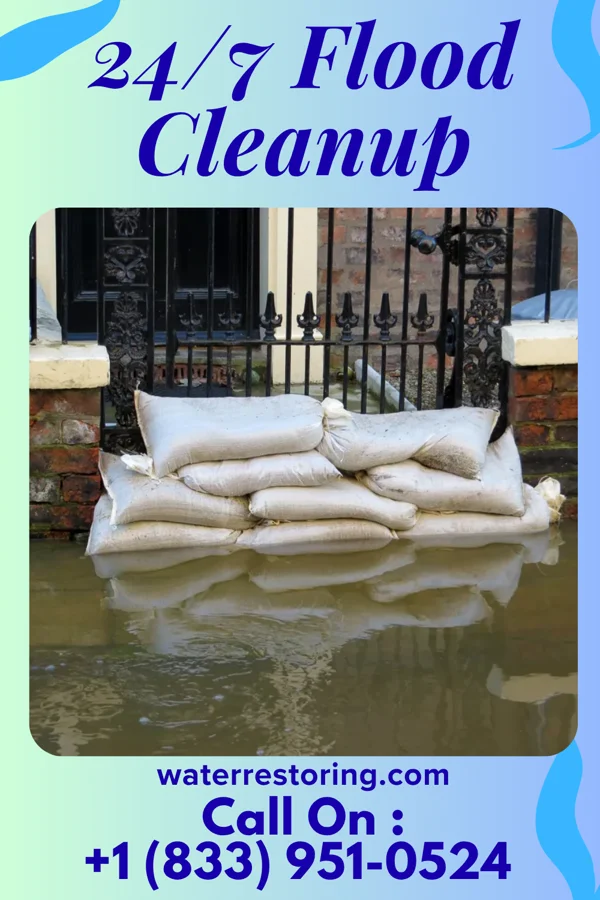 24/7 Flood Cleanup in Jewett, IL