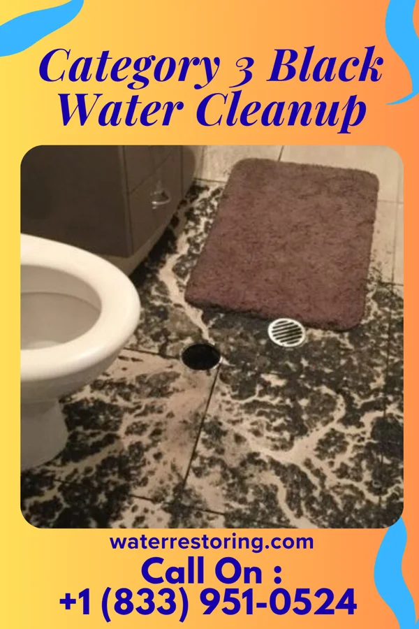 Category 3 Black Water Cleanup in Jewett, IL